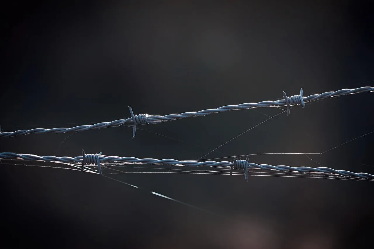 Barbed wire on a prison fence