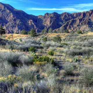 A judge stops the Big Bend border project. The fight over federal power continues.